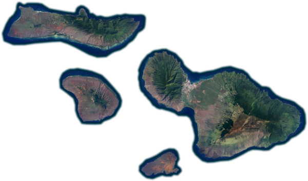 Services • Pacific Isle Shades